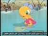 البحث عن حفرة الضفادع   (دورية الضفادع
