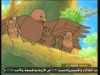 دروس الطيران   (الغابة الخضراء)