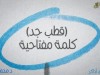 مذاكرة قطب جد/ د.محمد الشيخ