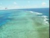 المخاطر التي تحيط الثروة السمكية في تركيا(360 درجة)
