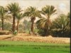 الحلقة 1 (قتل البذور)