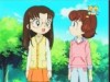 زائرة جديده (هامتارو)