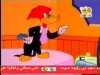 الكرسي المحجوز (نقار الخشب)