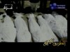 دعاء غزة للشيخ ياسر الدوسري