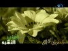 سألتك ربي إنشاد مشاري العرادة