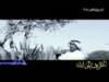 دعاء للشيخ مشاري راشد العفاسي