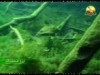1 - كهف يوكوتا (أروع المحميات)