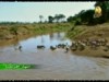 7- نهر الكفاح (انهار افريقيا)