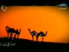 الصبر في الشدائد (من أمثال الحديث النبوي)