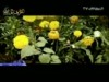 يد الابداع إنشاد مشاري راشد العفاسي