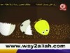 الكتكوت (طيور الجنة)