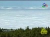 5- جزر الكناري (محطات عالمية)