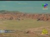 13- أريزونا (محطات عالمية)