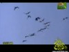 يارب إنشاد الشيخ ابراهيم حامد