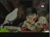 فيلم الكرتون رسالة السلام