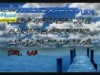 النصارى يكتبون فى على اكثر من الشيعة انفسهم