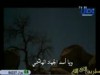 أنشودة أبا الحسنين 