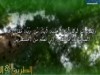 المهاجر : الله ينتظر خروج المهدي 