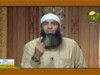تطبيق أحكام الشريعة فيه قسوة على الناس 