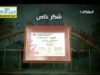 المولود 