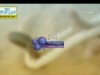 إذا نزل منزلاً 