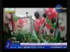 نشيد المصالحه (فلسطين)