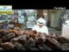 هلا رمضان 