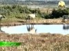 1- الشرق الكندي (براري الشمال)