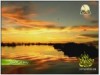 3- رحلة إلى الأمازون (رحلة تروي العجائب)