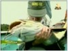 1- غابات الأمازون (صيادو السمك)