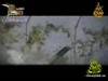 متى يفيق النائمون (همسة قلب)
