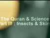 Quran & Science Part III Insects & Skins