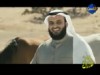 من بنات الريح إنشاد مشاري راشد