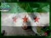 ألم تسمعي يا أمتي 