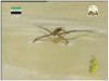 الحلقة 3 (عجائب الخلق)