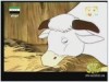 الحلقة 15 (حكيم الأقزام)