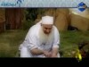 الوضوء (نبضة)