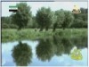 الحلقة 7 (كوكب الروائع)