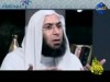 الشيخ جاد الحق (نبضة)