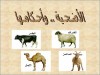 أحكام الاضحية بصورة مبسطة ورائعة جدا ( مقاطع )
