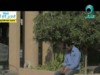 فضل إطعام المساكين