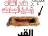 بصمة في القبر للشيخ محمود المصري 