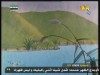 النحل(أسرار الغابة)