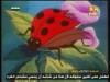 الحلقة الرابعة(حكايات قندس)
