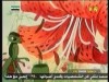 الأخطبوط( أسرار الغابة)