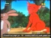 الحلقة الثانيةعشر(حكايات قندس)