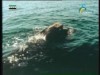 أرض البحيرات