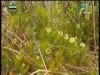 حدائق كازورلا 2(المحميات الطبيعية)