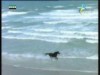 محمية سينا جراي زباتا(في متنزهات الطبيعة)''23/2/2014''