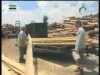 المناطق الأستوائية النائية(قرب الأخطار)''23/2/2014''
